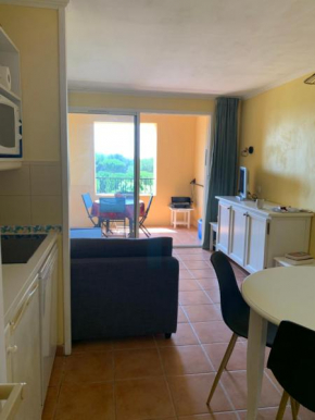 Appartement Domaine du Golf Pierre et Vacances de Pont Royal en Provence